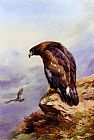 A Golden Eagle by Archibald Thorburn